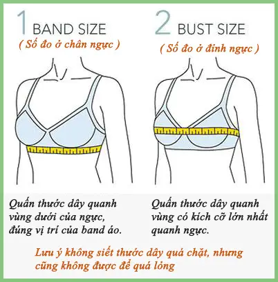 Cách đo Size Áo lót, Áo Ngực - Bra